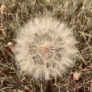 Meet your Posher, Clarissa